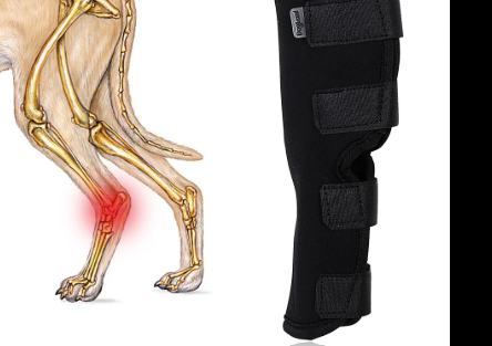 Dog Leg Support & Recovery Sleeve